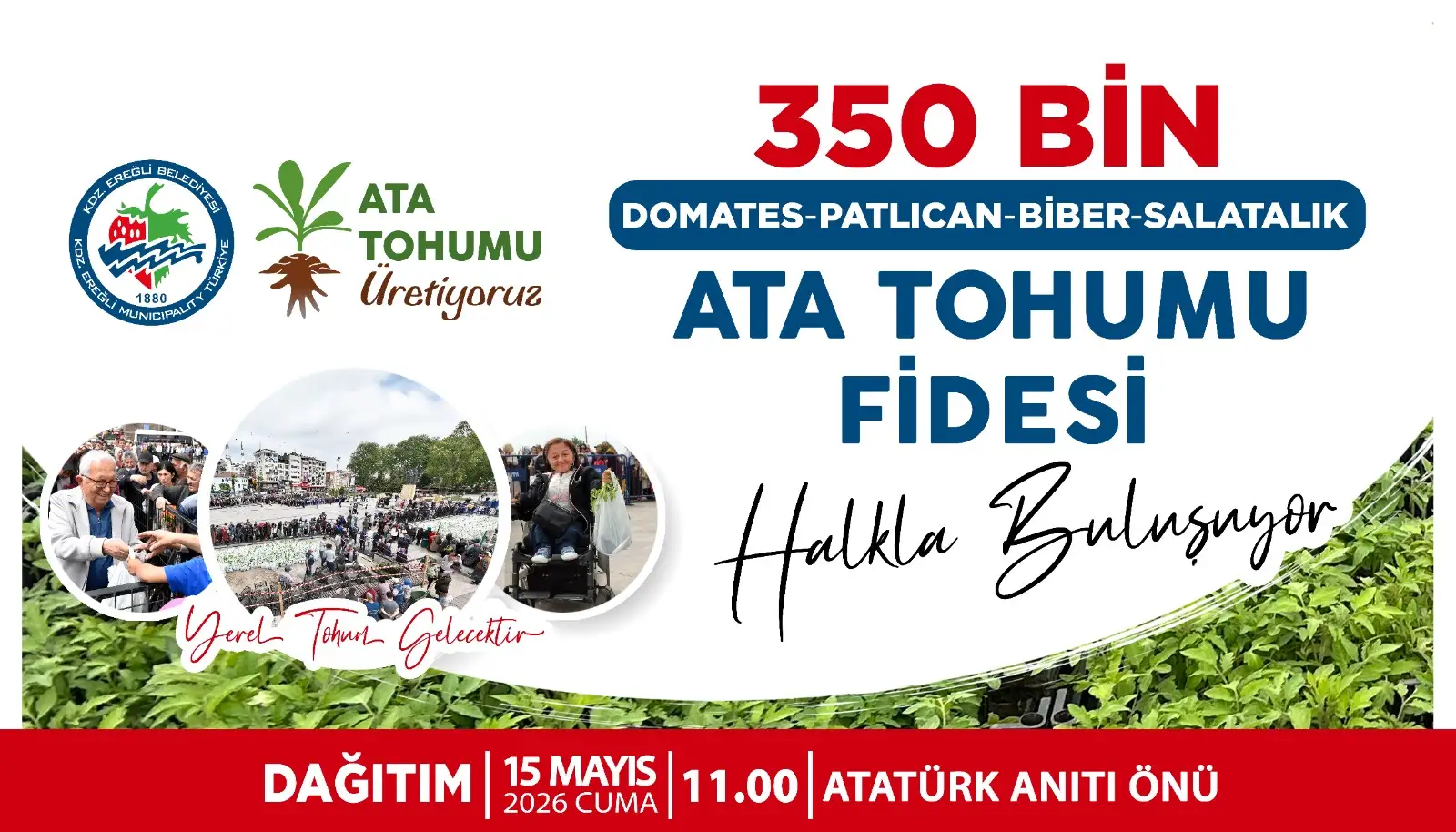 KDZ. EREĞLİ BELEDİYESİ, 350 BİN ATA TOHUMU FİDESİNİ HALKLA BULUŞTURUYOR