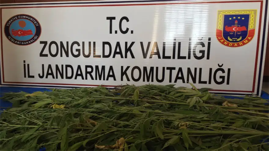 Jandarma uyuşturucuya geçit vermiyor