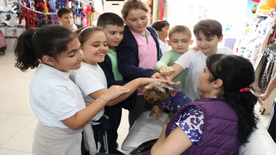 Saldırgan köpek yoktur...