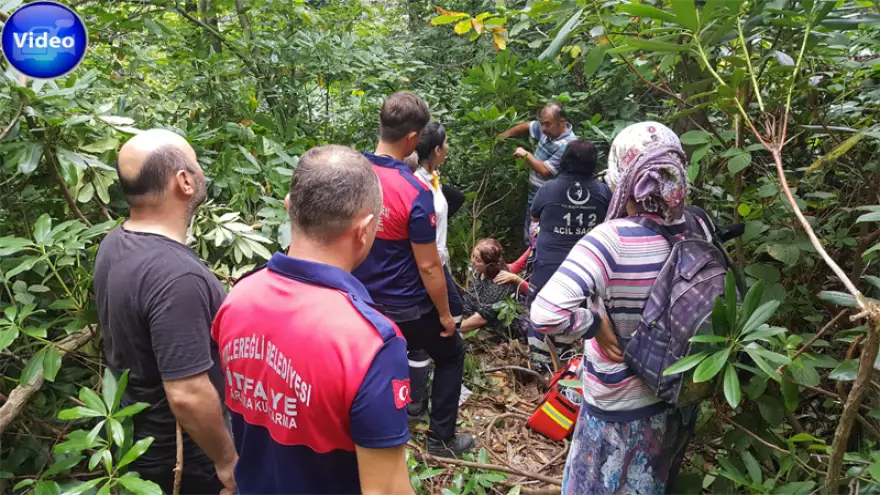 Eşek arıları kabus oldu...
