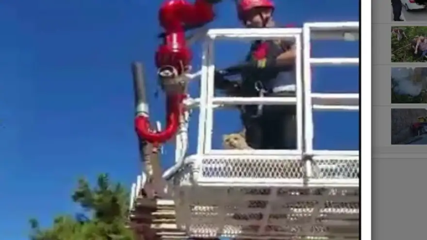 İki gün ağaçta mahsur kaldı