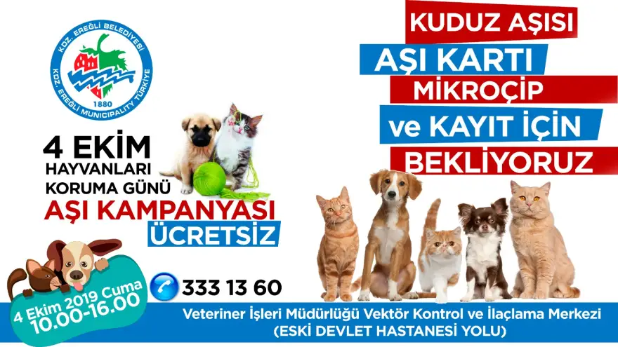 Hayvanlara ücretsiz aşı