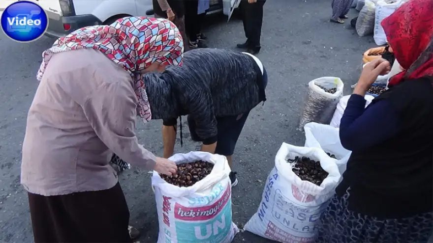 Vatandaş fiyattan, satıcılar vatandaştan dertli...