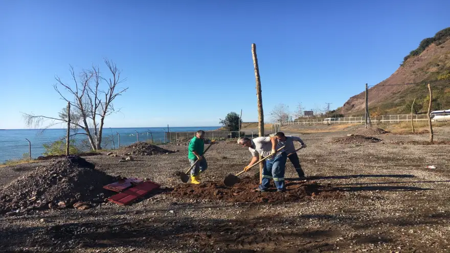 Mesire alanı ağaçlandırılıyor