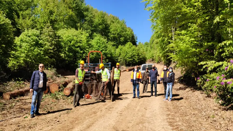 Ereğli'de asli türe dönüş başladı