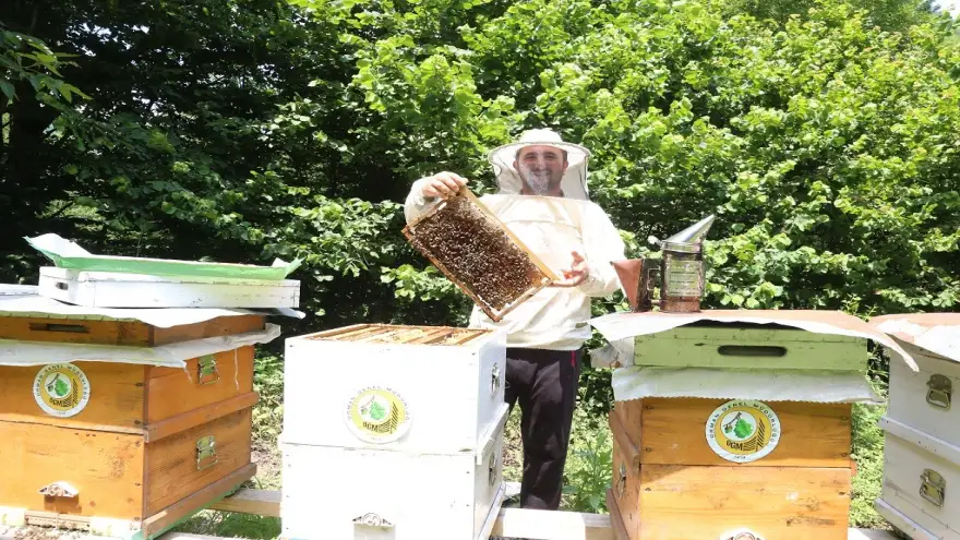 Arıyla Güçlenen Hayatlar İçin Kurulan Bal Ormanları