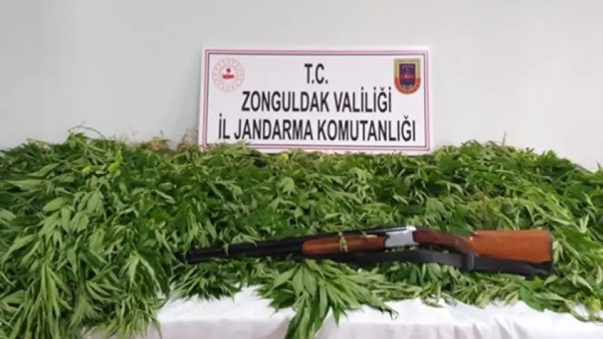 307 Kök Hint keneviri ele geçirildi