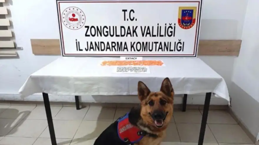 Zehir tacirleri yakalandı