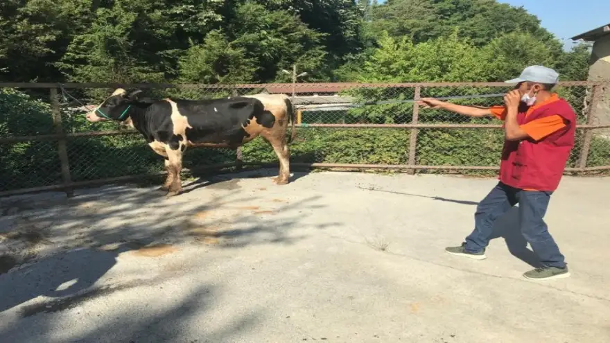 Kdz. Ereğli’de, kurban yakalama timi görevde