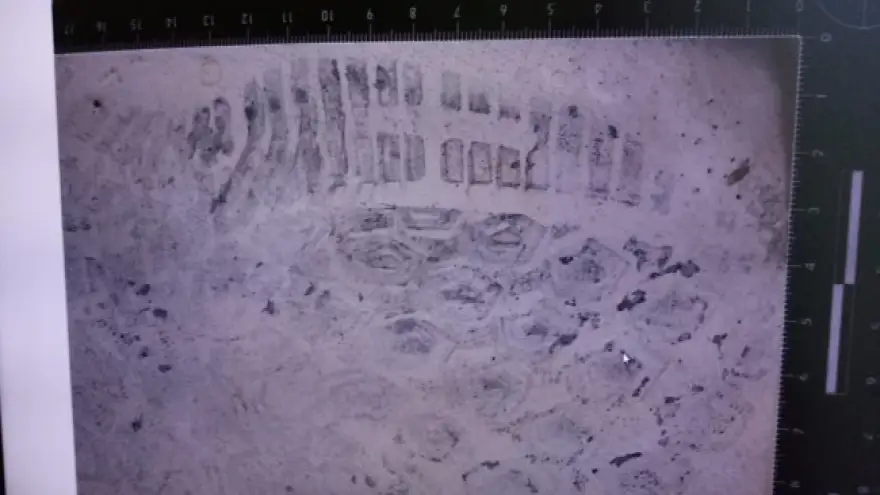 Polis hırsızı ayak izinden tanıdı