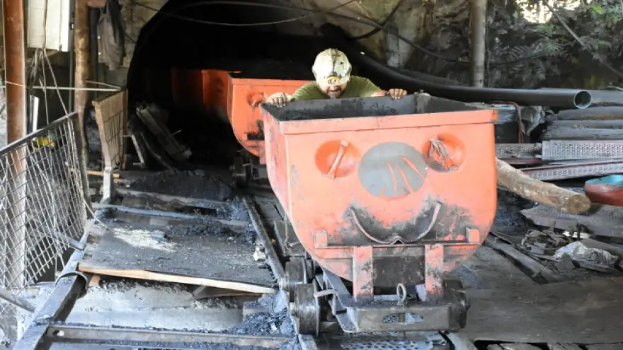 Kara elmas 8 ayda 155 milyon lira gelir sağladı