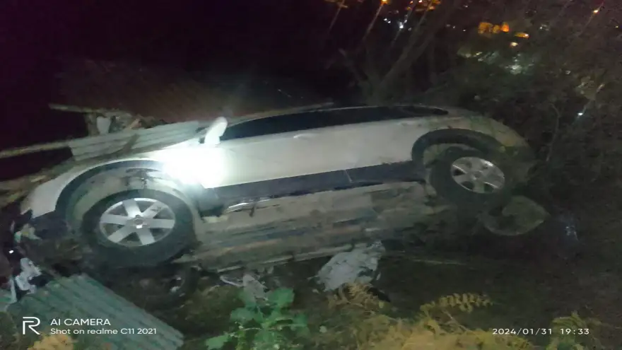 Ağaçlık alana uçtu