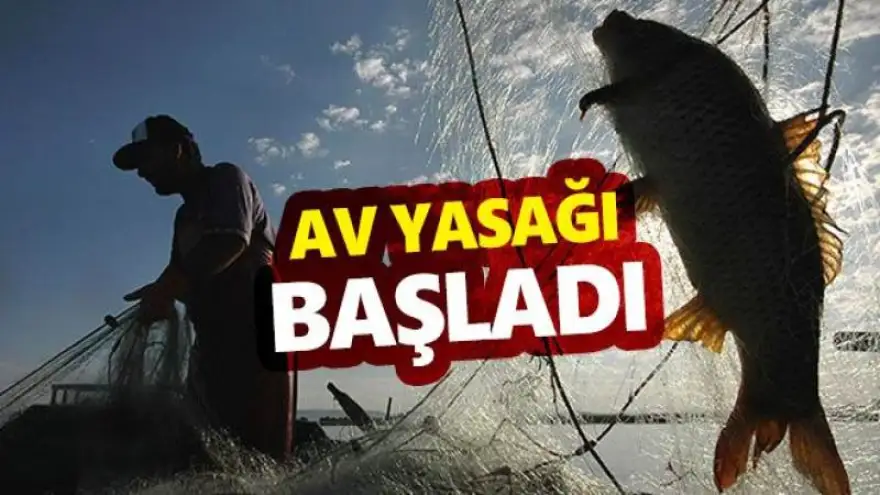 Ülke genelinde av yasağı...