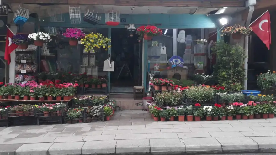 Umut Çiçekçilikte, Anneler Günü için çiçekler hazır...