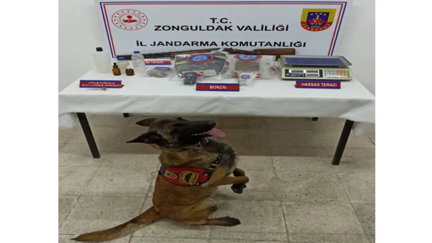 Jandarma'dan Alaplı'da uyuşturucu tacirlerine operasyon