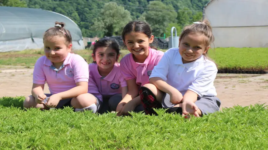 Minik Eller Çiçek Dikti, Tarımı Öğrendi