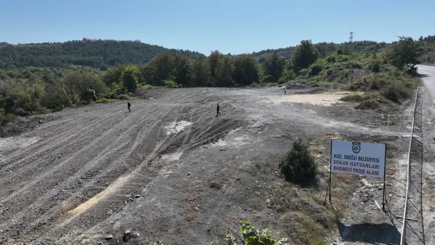 Sokak Hayvanlarını Öldürmeye Değil Yaşatmaya Güvence Olacağız