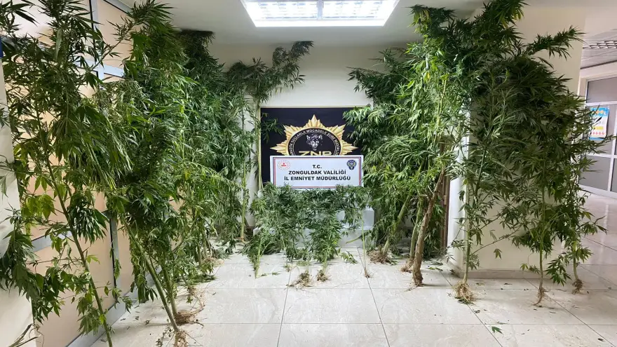 Narkotik operasyonunda 21 şüpheli yakalandı...