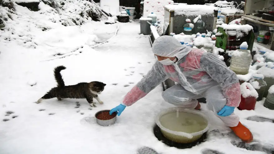 Ereğli Belediyesi sokak hayvanlarını unutmadı