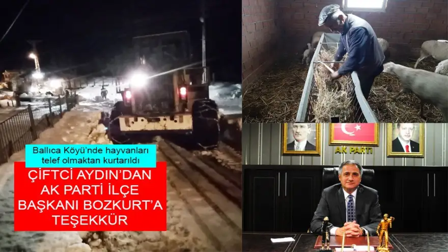 Hayvanları telef olmaktan kurtarılan çiftci Aydın, Bozkurt’a teşekkür etti
