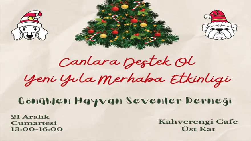 Sokak hayvanları yararına etkinlik...