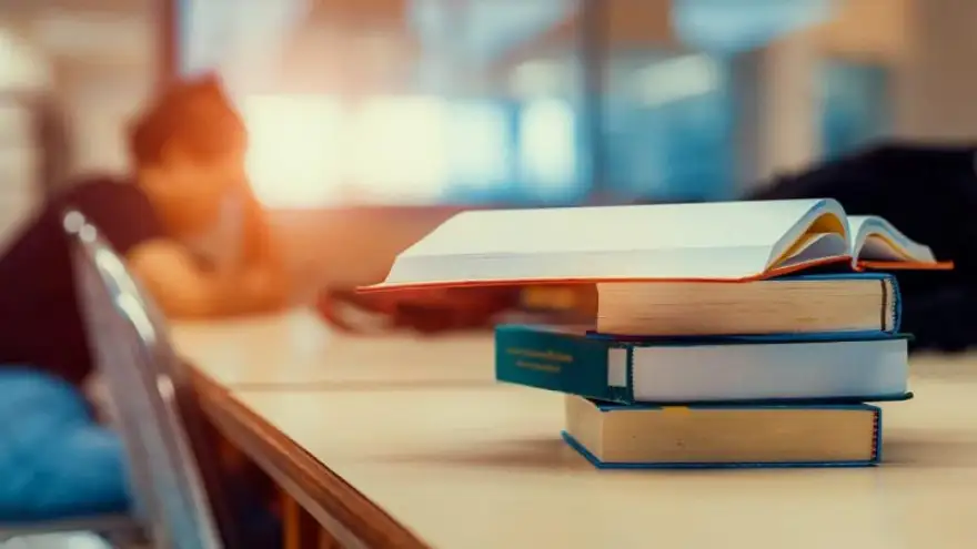 İŞKUR Gençlik Programı'na başvurular 1 hafta sonra başlayacak