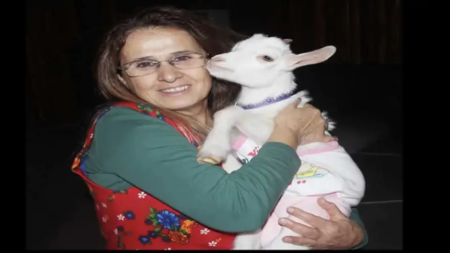 Cenaze programı belli oldu..