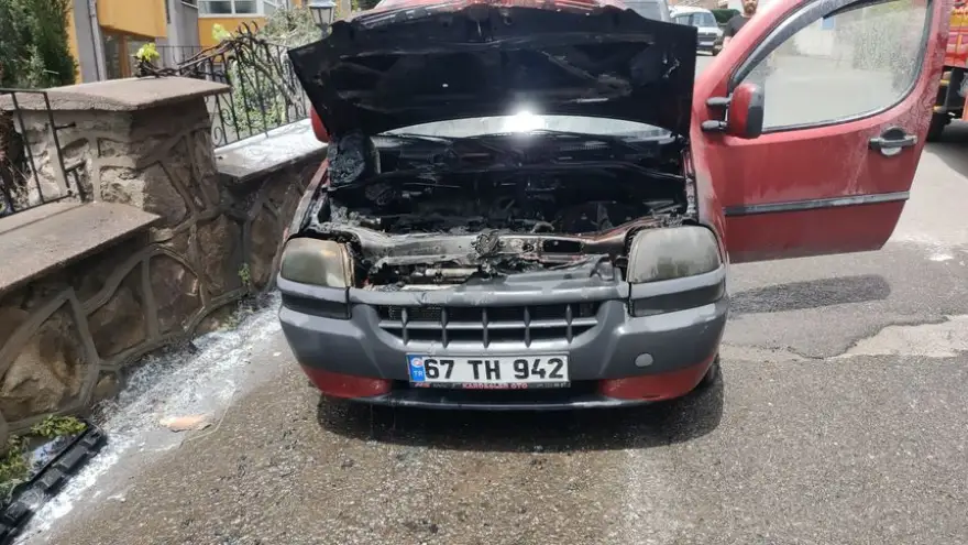 Park halindeki kamyonet alevlere teslim oldu