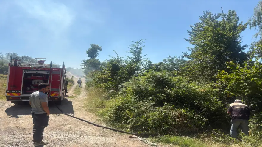 Çöp yangını fındıklığa sıçradı..