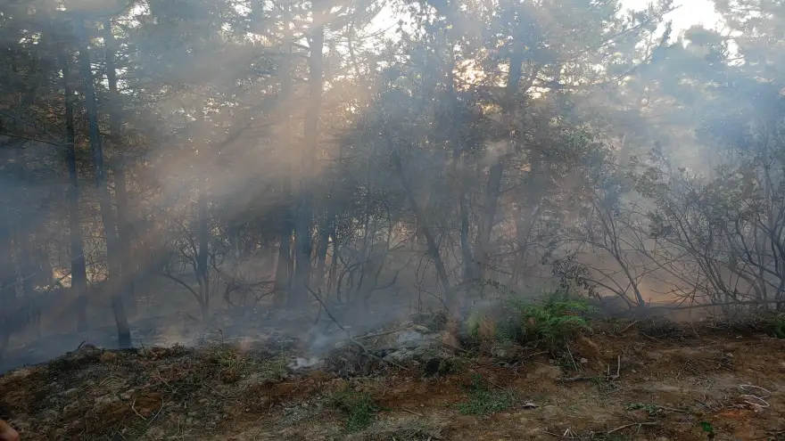Ormanlık alanda çıkan yangın güçlükle kontrol altına alındı...