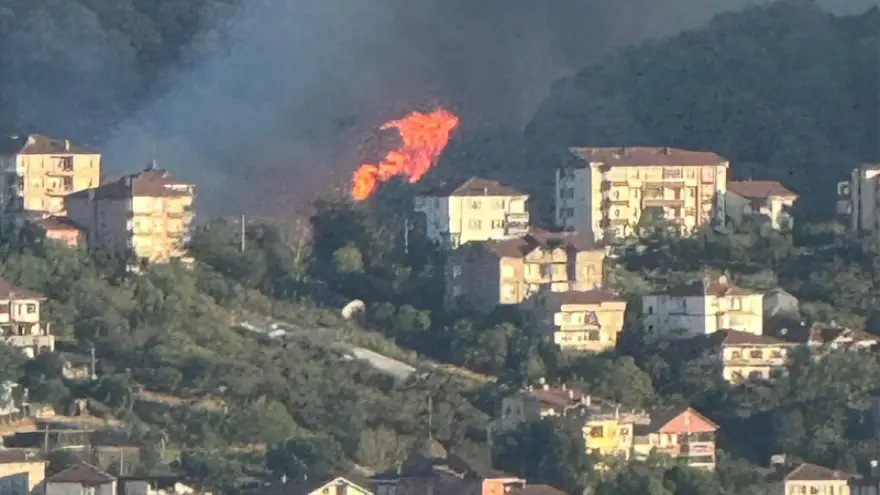 Karadeniz Ereğli ilçesinde ormanlık alanda yangin çıktı.