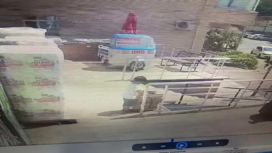 Herkes bu çocuğu ve aldığı kediyi arıyor…