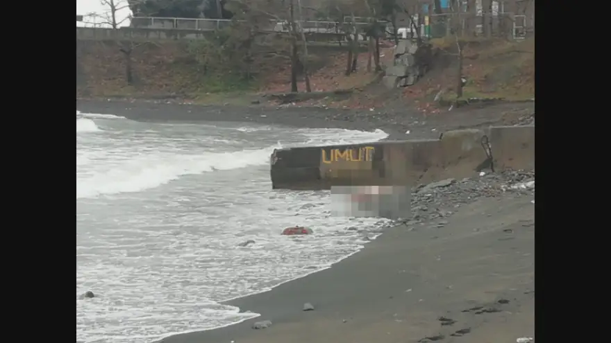 Ereğli Belediye plaj tesislerinde erkek cesedi bulundu
