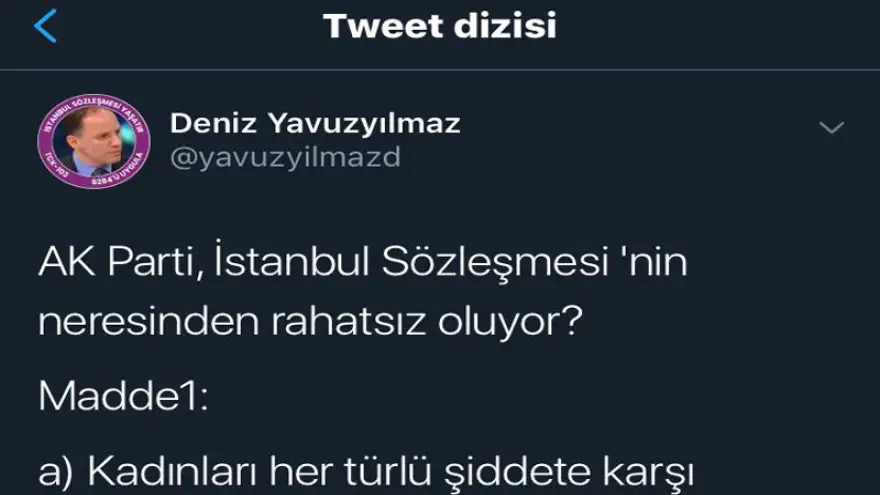 AK Parti, İstanbul Sözleşmesi'nin neresinden rahatsız oluyor? 
