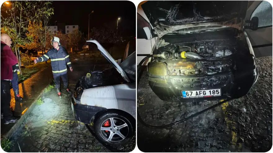 Hafif ticari kamyonet alevlere teslim oldu...