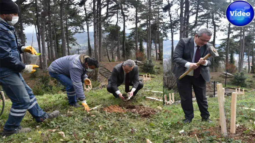 Belediye, Kestaneci’ye kestane fidanı dikti