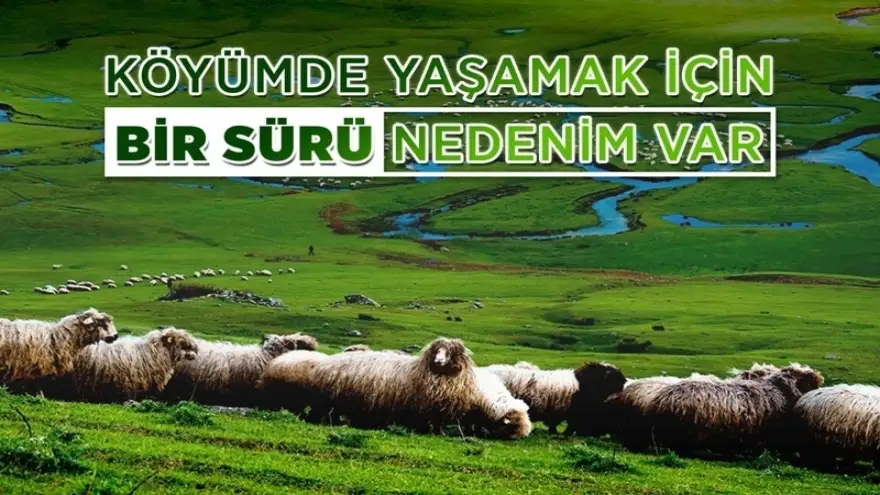 "Köyümde yaşamak için bir sürü nedenim var" Projesi"