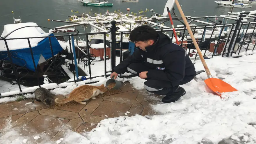 KDZ. EREĞLİ BELEDİYESİ SOKAKTAKİ CANLARI UNUTMADI