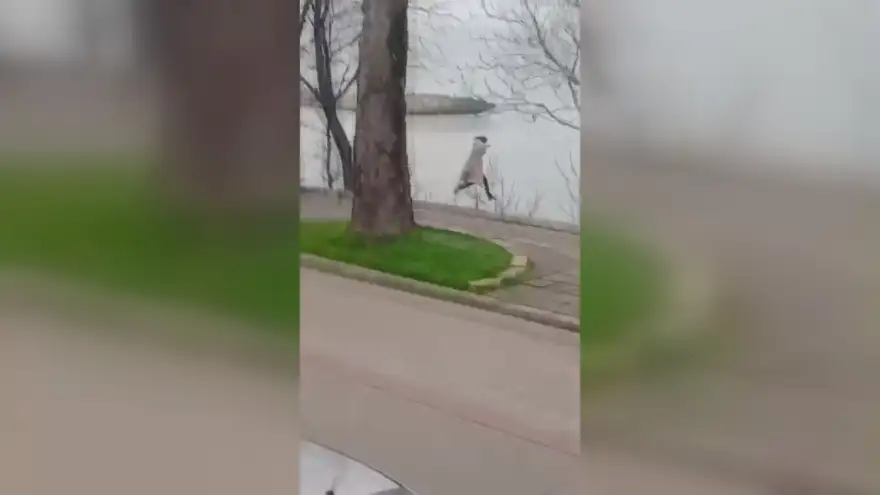 Sinir Krizi Geçiren Kadın 4 Metrelik Boşluğa Düştü