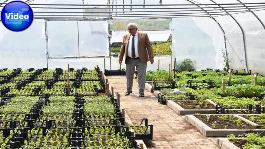 Posbıyık: "Ata tohumları evlere ulaştırılacak"