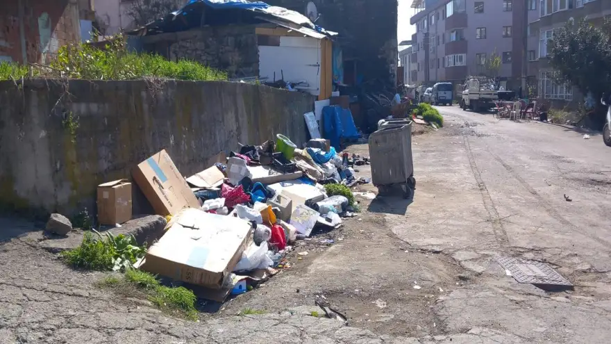 Baharın Gelişi Ereğli Sokaklarında “Çöp Çiçekleri” Açtırdı