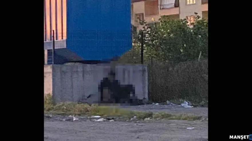 Ereğli’de Vicdanları Sarsan Olay: Hayvana İstismar Zanlısı Tutuklandı