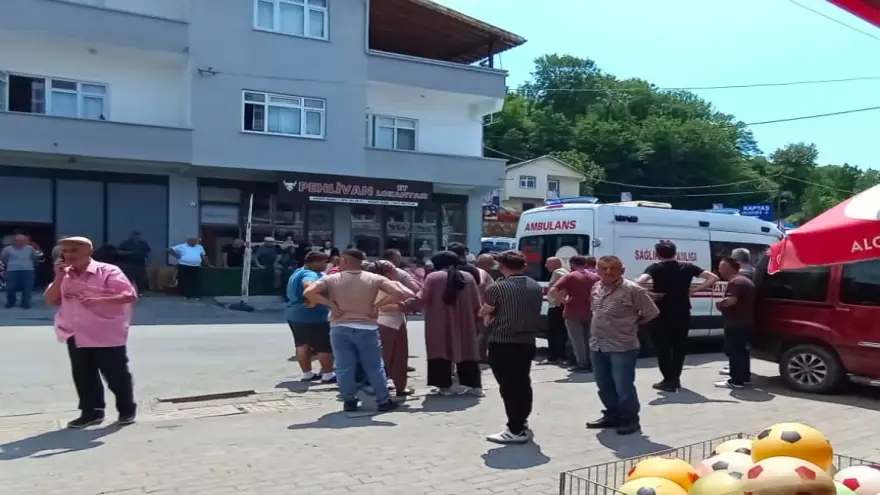 Eşek Arısı Soktu, Yaşam Mücadelesini Kaybetti
