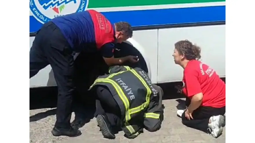 Otobüsün şasesinde sıkışan yavru kedi kurtarıldı
