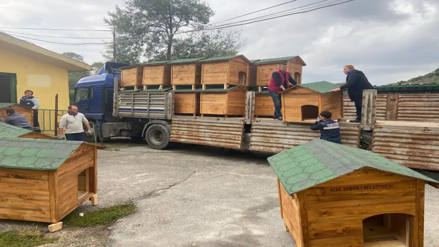 Sokak Hayvanları Merkezi 12,5 Dönüme Ulaşacak