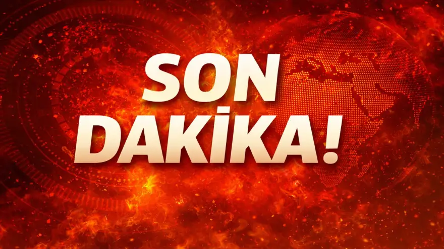 Kaplumbağaya Şiddet Görüntüleri 15 Yıl Önceye Ait Çıktı: Kadın Gözaltına Alındı