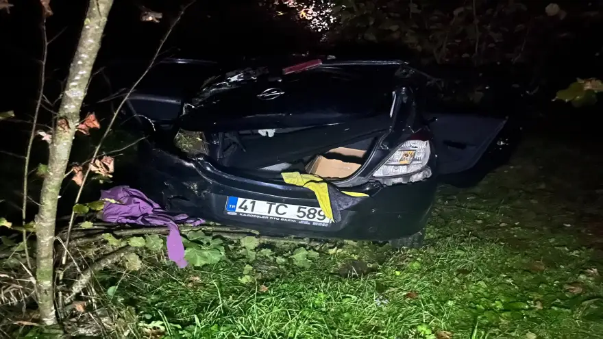 Ereğli-Ormanlı Yolunda Otomobil Fındık Tarlasına Uçtu: 4 Yaralı