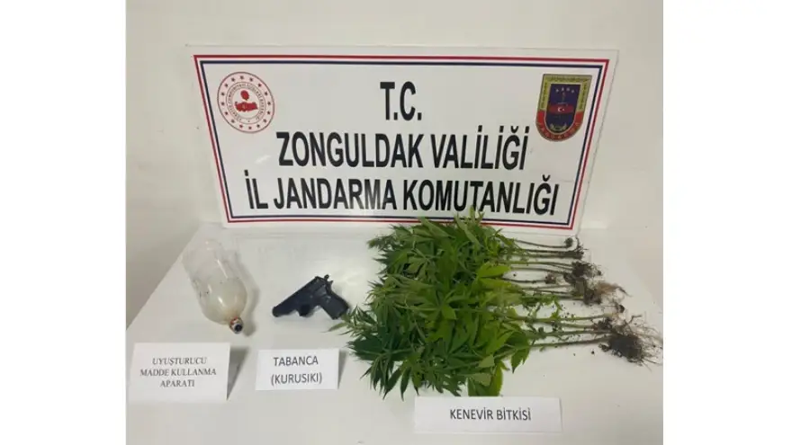 Jandarma'dan uyuşturucu operasyonu