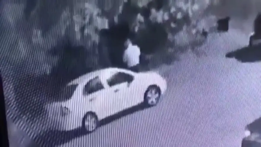 Yangın çıkarmaya çalışan şahıs yakalandı
