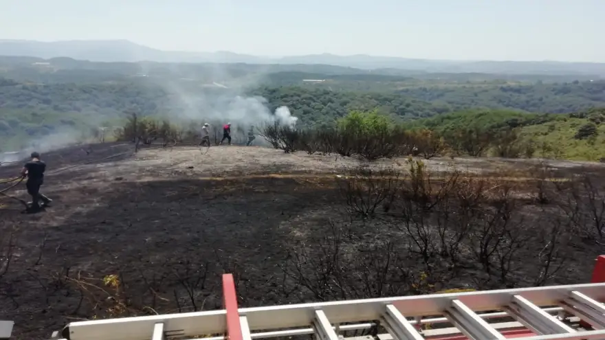 Ereğli’deki orman yangını, kontrol altına alındı